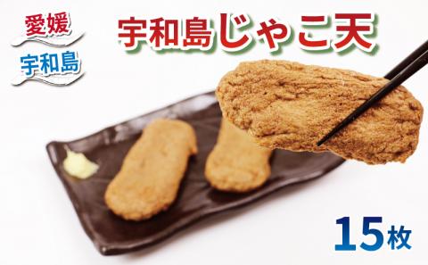 宇和島じゃこ天 じゃこ天 15枚 薬師神かまぼこ 小魚 練り物 さつま揚げ かまぼこ 揚げかまぼこ 天ぷら てんぷら かまぼこ 蒲鉾 カマボコ 冷蔵 惣菜 フライ おでん だし 小分け 酒 おつまみ 肴 水産 加工品 特産品 郷土料理 お中元 国産 愛媛 宇和島 C012-019001