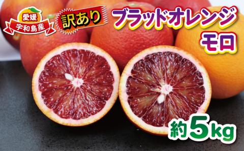 訳あり ブラッドオレンジ・モロ 5kg 大田農園 オレンジ 果物 フルーツ 柑橘 みかん 国産 愛媛 宇和島 産地直送 農家直送 数量限定 B012-121004