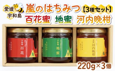 国産純粋はちみつ 嵐 の はちみつ 天然 100％ 食べ比べ 3種 セット 百花蜜 地蜜 河内晩柑 みつばち屋嵐 非加熱 蜂蜜 贈答用 プレゼント 希少 天然 100% 天然はちみつ 百花はちみつ 蜜柑 みかん mikan 晩柑 日本はちみつ 国産 愛媛 宇和島 F022-129001