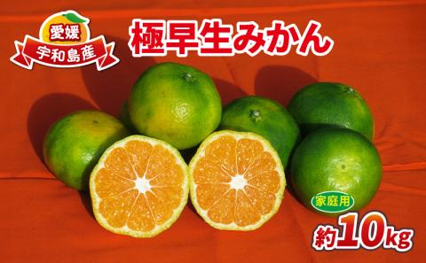 【先行予約】愛媛みかん 極早生 家庭用 家庭用 10kg 先行予約 ワールドファーマーズ 蜜柑 mikan 甘い 美味しい 農家直送 産地直送 数量限定 国産 宇和島 B010-024015