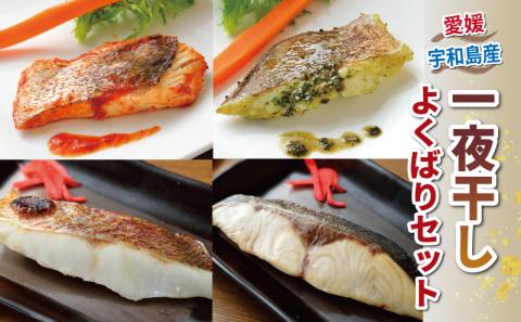 干物 セット 一夜干し よくばりセット  真鯛 カンパチ アジの開き 詰め合わせ こもねっと バジル トマト 麦味噌 藻塩? 漬け 冷凍 鯛 マダイ タイ 鯵 魚 惣菜 お惣菜 おかず 簡単調理 冷凍食品 冷凍 産地直送 国産 愛媛 宇和島 D025-008005