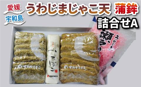 じゃこ天 天ぷら かまぼこ 蒲鉾 詰め合わせ Aセット 中村かまぼこ店 削り蒲鉾 すり身 練り物 冷蔵 惣菜 フライ てんぷら 天ぷら かま天 かまぼこ 揚げかまぼこ 蒲鉾 カマボコ グルメ 贈り物 練り物 練物 郷土料理 おつまみ 加工品 特産品 愛媛 宇和島 C012-013001