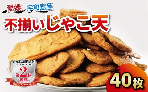 【訳あり】 不揃い じゃこ天 40枚 中村かまぼこ店 練り物 名産 揚巻 じゃこてん 竹輪 かまぼこ 蒲鉾 おつまみ C012-013005