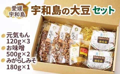 豆菓子 計360g 麦味噌 計1kg みがらしみそ 180g 大豆 セット 企業組合 津島 あぐり工房 麦みそ 味噌 みそ 味噌汁 みそしる みそ汁 加工食品 miso 発酵 発酵調味料 調味料 麦 麹 ちりめん 菓子 お菓子 おやつ スナック 国産 愛媛 宇和島 J012-066001