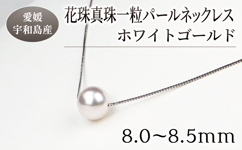 10営業日以内発送／ 本真珠 パール 花珠 真珠 一粒 パールネックレス 8.0-8.5mm ホワイトゴールド 宇和海真珠 A150-102003:  宇和島市ANAのふるさと納税