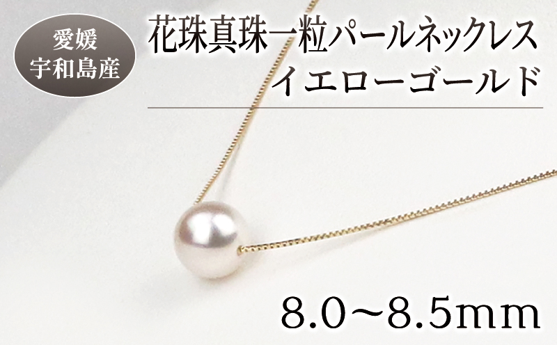 本真珠 パール 花珠 真珠 一粒 パールネックレス 8.0-8.5mm イエローゴールド 宇和海真珠 A150-102005:  宇和島市ANAのふるさと納税