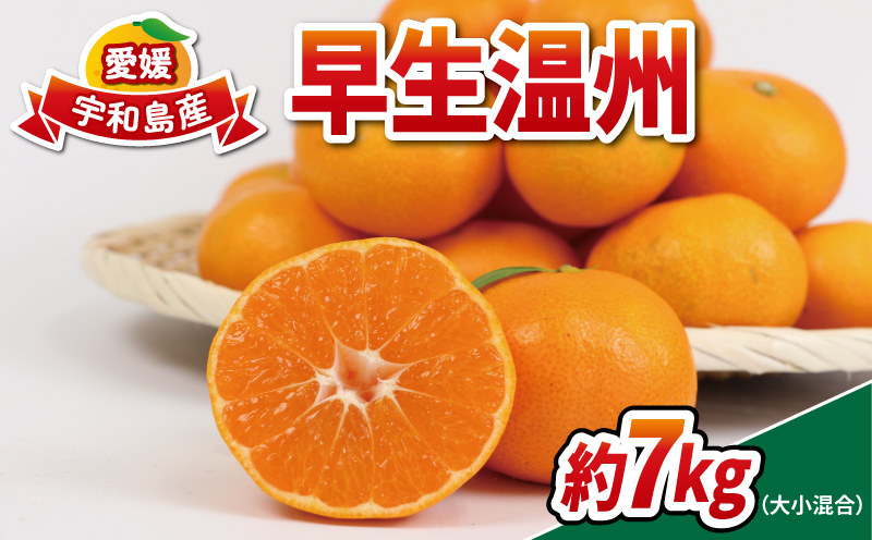 愛媛 みかん 早生温州 家庭用 7kg 大小混合 南四国ファーム B010-035001