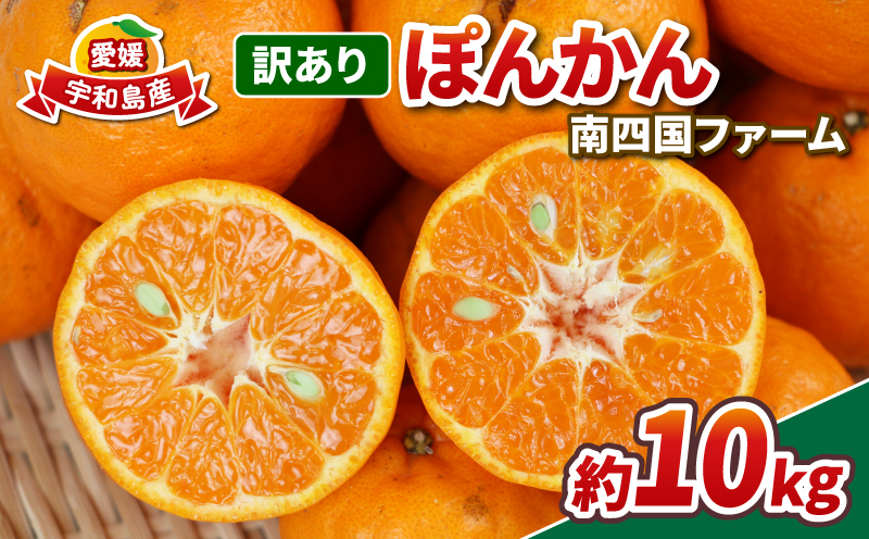 訳あり ぽんかん 10kg 南四国ファーム ポンカン 先行予約 柑橘 みかん 蜜柑 mikan 甘い コク 酸味 果物 くだもの フルーツ 愛媛ミカン 愛媛蜜柑 愛媛みかん 訳アリ 訳あり品 訳有り わけあり 数量限定 産地直送 農家直送 国産 愛媛 宇和島 B010-035017