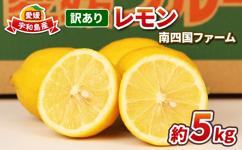 訳あり レモン 約5kg 南四国ファーム 先行予約 わけあり れもん 檸檬 remon レモン 果汁 酸味 爽やか 果実 サワー ジュース チューハイ 果物 くだもの ビタミン フルーツ 柑橘 産地直送 数量限定 国産 愛媛 宇和島 B010-035019
