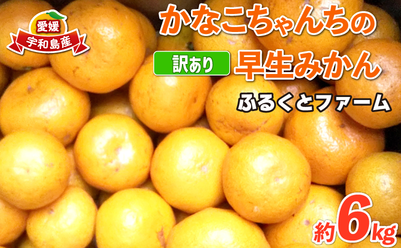 訳あり 早生 6kg ふるくとファーム かなこちゃんち 果物 くだもの フルーツ 柑橘 みかん 蜜柑 mikan ビタミンC たっぷり 愛媛ミカン 愛媛蜜柑 愛媛みかん 農家直送 産地直送 数量限定 国産 愛媛 宇和島 B010-037004