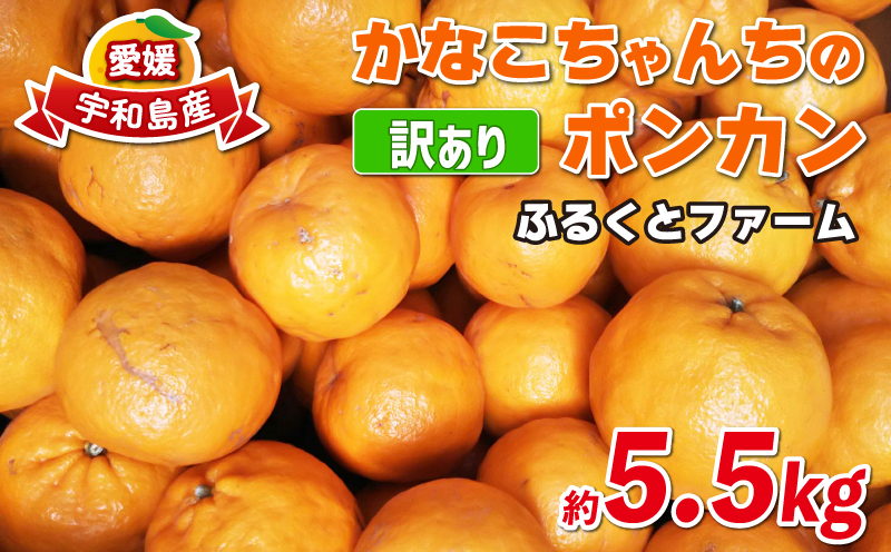 訳あり ポンカン みかん 約5.5kg 2月頃発送予定！ ふるくとファーム 先行予約 かなこちゃん サイズ混合 わけあり 今津 果物 くだもの フルーツ 柑橘 かんきつ 人気 蜜柑 濃厚 甘い 甘味 農家直送 産地直送 数量限定 国産 愛媛 宇和島 B010-037006