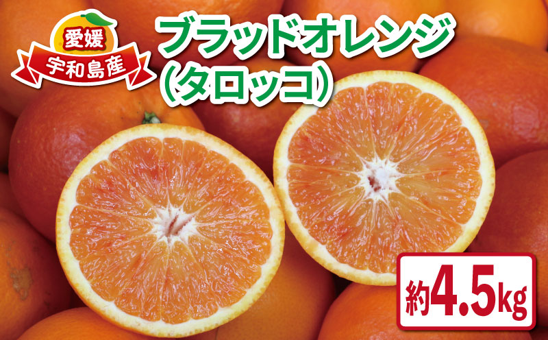 ブラッドオレンジ タロッコ 4.5kg ブラッド オレンジ 愛媛みかん オレンジ つばさ農園 ブラッド オレンジ B010-048003
