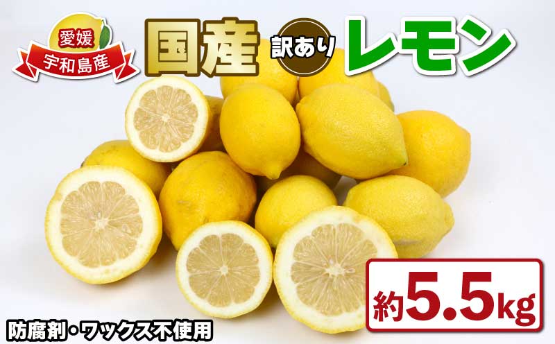 国産 訳あり レモン 5.5kg つばさ農園  先行予約 防腐剤 ・ ワックス 不使用 国産レモン 先行予約 青レモン れもん remon 檸檬 レモン果汁 酸味 高級 果物  ビタミン 健康 フルーツ 柑橘 みかん 農家直送 産地直送 数量限定 愛媛 宇和島 B010-048013