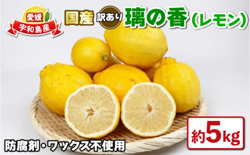 国産 訳あり 璃の香 ( レモン ) 5kg つばさ農園 防腐剤 ・ ワックス 不使用 国産レモン 先行予約 れもん 檸檬 レモン remon 果汁 酸味 高級 果物  ビタミン 健康 フルーツ 柑橘 みかん mikan 農家直送 産地直送 数量限定 愛媛 宇和島 B010-048014