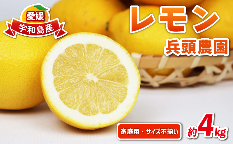 レモン 家庭用 4kg サイズ不揃い 兵頭農園 れもん 檸檬 レモン果汁 酸味 爽やか 果実 サワー ジュース チューハイ remon 青レモン 果物 くだもの ビタミン フルーツ 柑橘 農家直送 産地直送 数量限定 国産 愛媛 宇和島 B010-055008