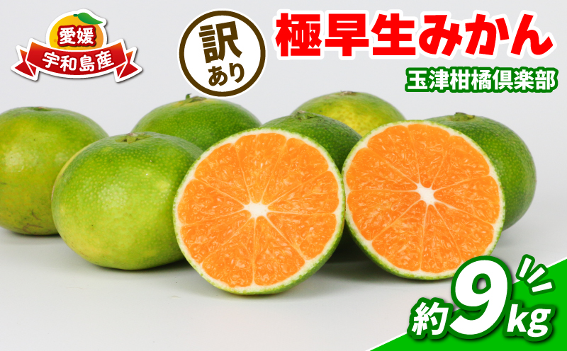 みかん 訳あり 極早生みかん 9kg 先行予約 玉津柑橘倶楽部 ミカン 温州みかん 温州 甘い さっぱり 爽やか 酸味 果物 くだもの フルーツ 柑橘 mikan 蜜柑 愛媛蜜柑 愛媛みかん わけあり 訳あり品 サイズ 不揃い 産地直送 数量限定 国産 愛媛 宇和島 B010-072029