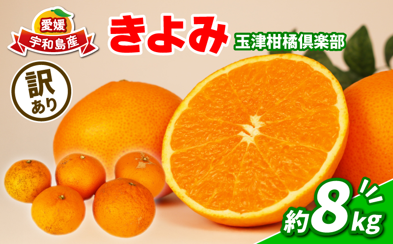 【訳あり】 清見 みかん 8kg 玉津柑橘倶楽部 愛媛 果物 フルーツ タンゴール mikan B010-072033