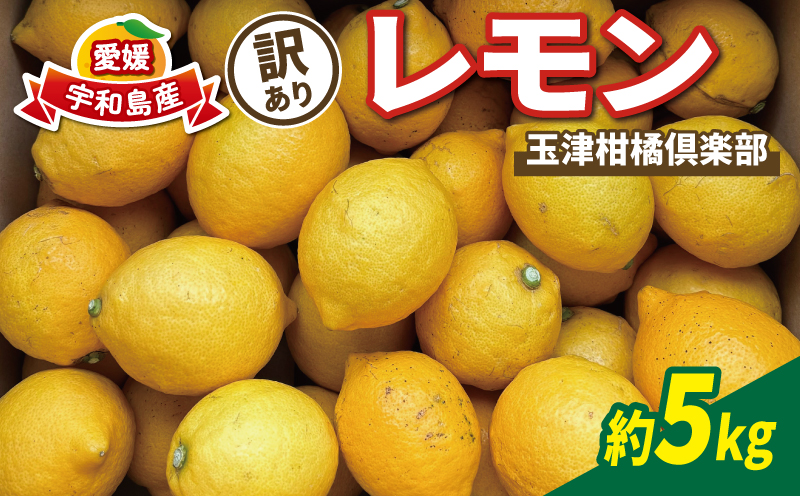 訳あり レモン 約5kg 玉津柑橘倶楽部 先行予約 サイズ 不揃い 訳アリ れもん 檸檬 remon 酸味 爽やか 果実 サワー ジュース チューハイ 果物 くだもの フルーツ 柑橘 愛媛蜜柑 愛媛みかん わけあり 訳あり品 産地直送 数量限定 国産 愛媛 宇和島 B010-072045