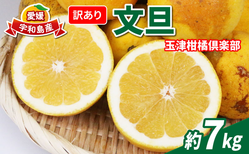 訳あり 文旦 約7kg 玉津柑橘倶楽部 先行予約 サイズ 不揃い ザボン ぶんたん ボンタン 果実 果物 くだもの フルーツ 柑橘 愛媛蜜柑 愛媛みかん 訳アリ わけあり 訳あり品 産地直送 数量限定 国産 愛媛 宇和島 B010-072046