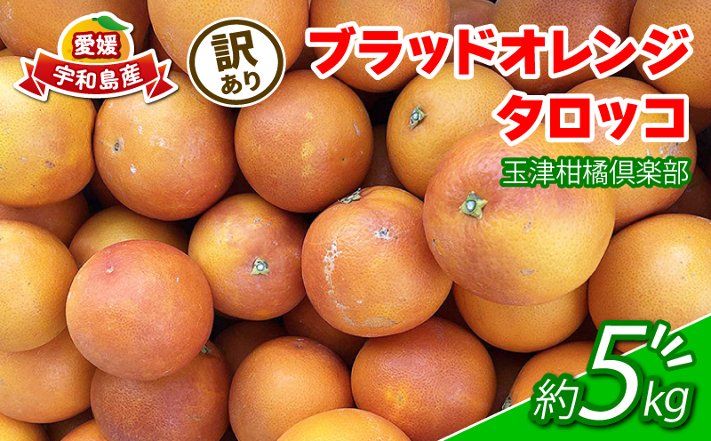 訳あり ブラッドオレンジ タロッコ 約5kg 玉津柑橘倶楽部 先行予約 サイズ 不揃い オレンジ 果実 果物 くだもの フルーツ 柑橘 愛媛蜜柑 愛媛みかん mikan 訳アリ わけあり 訳あり品 産地直送 数量限定 国産 愛媛 宇和島 B010-072047