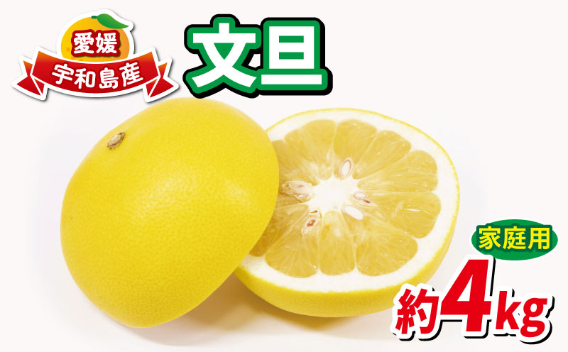 文旦 4kg 家庭用 先行予約 ハマみかん ミカン ぶんたん 果物 くだもの フルーツ 柑橘 かんきつ みかん 蜜柑 mikan  愛媛ミカン 愛媛蜜柑 愛媛みかん 農家直送 産地直送 数量限定 国産 愛媛 宇和島 B010-075003