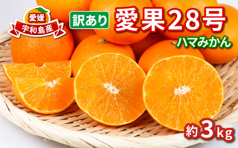 訳あり 愛果28号 ハウス栽培 約3kg ハマみかん 先行予約 高級 ブランド ゼリー プルプル 限定 品種 甘い 果物 フルーツ 柑橘 みかん サイズ 不揃い ハウス  愛媛ミカン 愛媛蜜柑 愛媛みかん 産地直送 農家直送 数量限定 国産 愛媛 宇和島 B010-075009