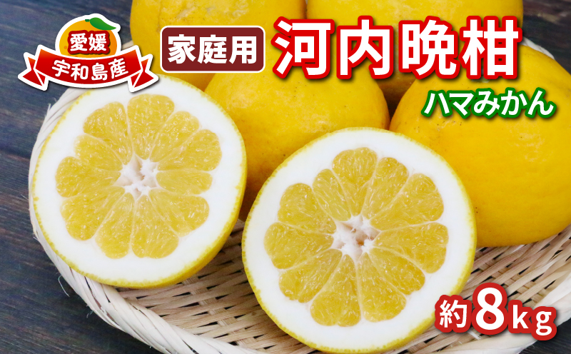 河内晩柑 8kg ハマみかん 先行予約 家庭用 蜜柑 mikan グレープフルーツ 果物 くだもの 産地直送 農家直送 数量限定 国産 愛媛 宇和島 B010-075010