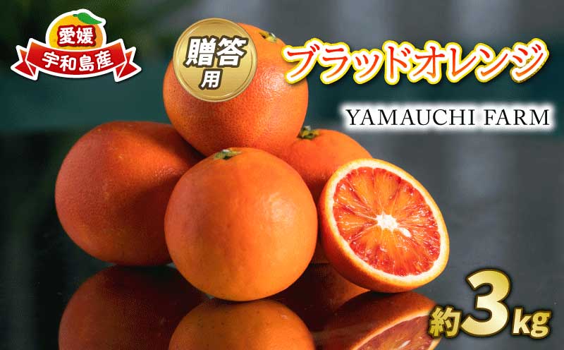 先行予約 贈答用 おまかせ ブラッドオレンジ モロ タロッコ 3kg YAMAUCHI FARM 愛媛みかん 愛媛蜜柑 愛媛ミカン オレンジ 玉津 みかん mikan 果物 フルーツ 柑橘 濃厚 甘い 甘味 蜜柑 産地直送 農家直送 数量限定 国産 愛媛 宇和島 B010-084004