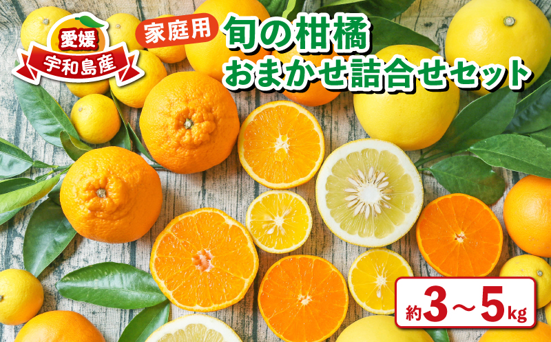 【品種おまかせ】柑橘  詰合せ セット 3~5kg 家庭用 フレッシュつちやま 先行予約 みかん mikan 蜜柑 愛媛 果物 くだもの フルーツ B010-096011