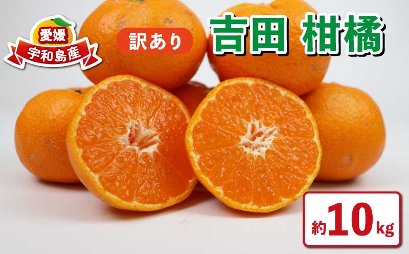 訳あり 吉田 柑橘 10kg 旬 季節 の 柑橘 フレッシュつちやま 品種 お任せ 果物 くだもの フルーツ 柑橘 訳アリ ワケアリ 愛媛みかん みかん mikan 蜜柑 産地直送 数量限定 国産 愛媛 宇和島 B010-096035