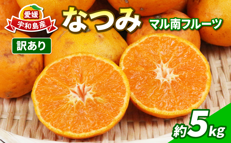 訳あり なつみ みかん 5kg 初夏のみかん マル南フルーツ 先行予約 サイズ 不揃い みかん 蜜柑 南津海 果物 くだもの フルーツ 旬 高級 ブランド 希少 柑橘 産地直送 数量限定 先行予約 国産 愛媛 宇和島 B010-106012