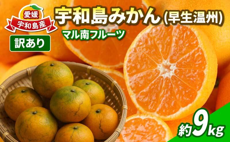 訳あり 宇和島 みかん 早生温州 9kg マル南フルーツ 先行予約 訳ありみかん 温州みかん 早生 温州 サイズ不揃い サイズミックス 果物 くだもの フルーツ 柑橘 蜜柑 訳アリ 訳あり品 訳有り わけあり 愛媛みかん 愛媛ミカン 甘い フルーティ 数量限定 産地直送 国産 愛媛 宇和島 B010-106017