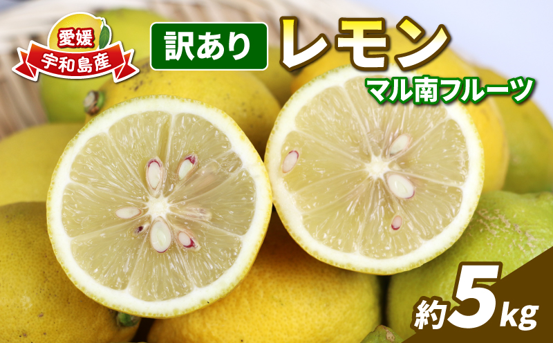 訳あり 檸檬 5kg マル南フルーツ 先行予約 不揃い わけあり レモン れもん レモン果汁 酸味 高級 果物 くだもの ビタミン 健康 ダイエット フルーツ 柑橘 みかん 蜜柑 産地直送 数量限定 国産 愛媛 宇和島 B010-106020