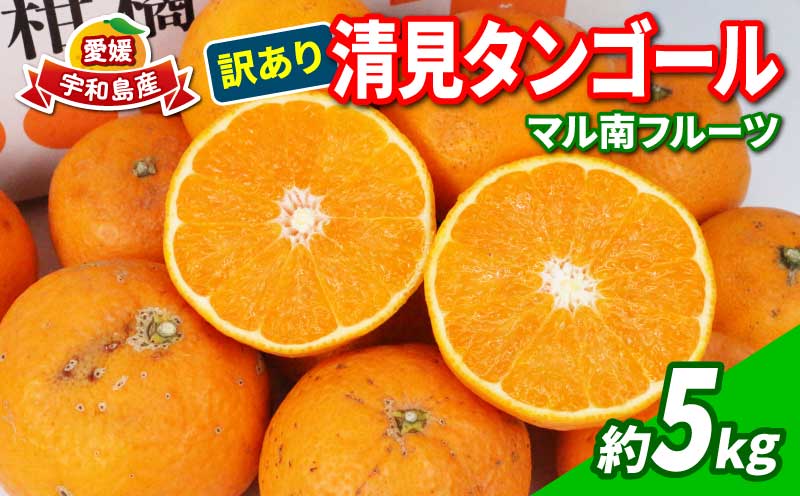 愛媛みかん 訳あり 清見タンゴール 5kg マル南フルーツ 先行予約 わけあり タンゴール オレンジ きよみ 清見オレンジ 清見みかん 清見蜜柑 清見 愛媛ミカン 愛媛蜜柑 蜜柑 みかん mikan 果物 くだもの フルーツ 柑橘 数量限定 国産 愛媛 宇和島 B010-106024