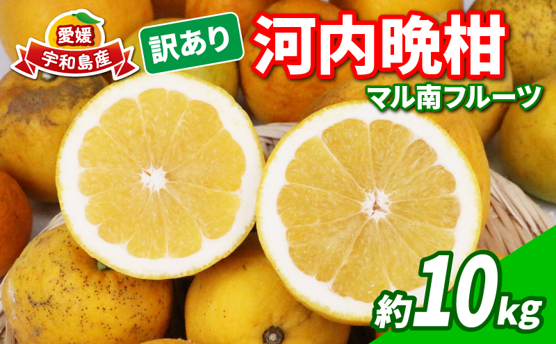 【訳あり】 河内晩柑 10kg マル南フルーツ 先行予約 愛媛 みかん 蜜柑 mikan 柑橘 和製 グレープフルーツ B010-106025