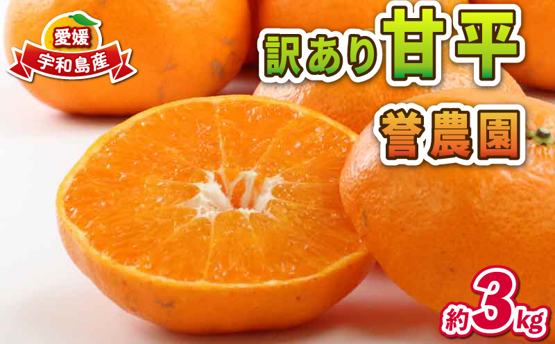 愛媛みかん 訳あり 甘平 3kg 誉農園 高級 愛媛 限定 ブランド 品種 愛媛ミカン 愛媛蜜柑 みかん 蜜柑 mikan 高級柑橘 果物 くだもの フルーツ 柑橘 みかん 蜜柑 数量限定 農家直送 産地直送 国産 愛媛 宇和島 B010-138013