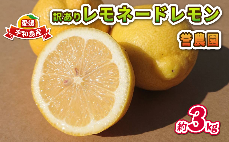 訳あり レモネード レモン 3kg 誉農園 国産 先行予約 希少 果汁 酸味 甘い 爽やか 果実 果物 くだもの フルーツ ビタミン 健康 柑橘 みかん 蜜柑 mikan 数量限定 農家直送 産地直送 国産 愛媛 宇和島 B010-138014