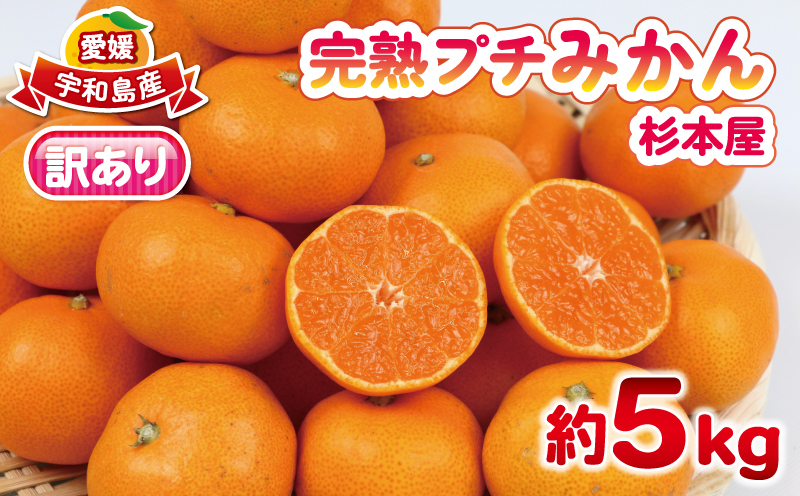みかん 訳あり 完熟 プチ みかん 早生みかん 5kg 杉本屋 完熟みかん mikan わけあり 小玉みかん 小みかん 愛媛みかん 愛媛蜜柑 温州 早生温州 温州みかん 果物 くだもの フルーツ 柑橘 みかん 蜜柑 産地直送 数量限定 国産 愛媛 宇和島 B010-143003