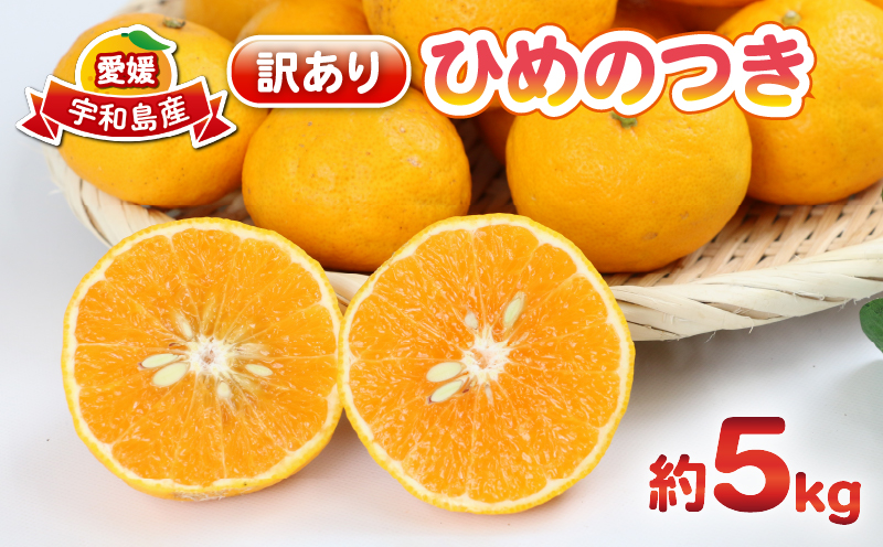 訳ありみかん ひめのつき 5kg 甘い 香り 爽やか 杉本屋 訳あり 訳あり品 わけあり 果物 くだもの フルーツ 柑橘 蜜柑 グルメ お取り寄せ デザート mikan ミカン 愛媛県産 愛媛みかん 愛媛ミカン 産地直送 数量限定 国産 愛媛 宇和島 B010-143007