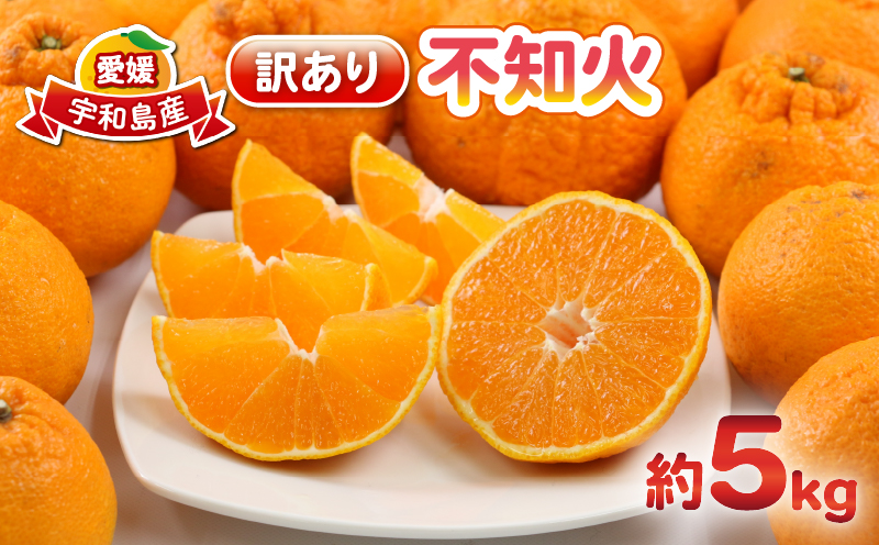 不知火 5kg 訳あり 不知火 杉本屋 先行予約 果物 くだもの わけあり 訳あり品 フルーツ 柑橘 蜜柑 みかん 不知火みかん mikan ミカン グルメ お取り寄せ デザート ビタミン 愛媛県産 愛媛みかん 愛媛ミカン 産地直送 数量限定 国産 愛媛 宇和島 B010-143009