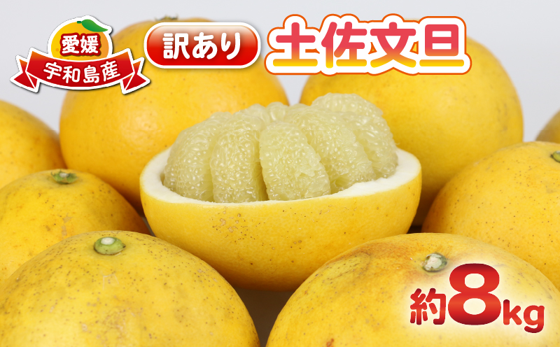 【産地直送】訳あり 土佐文旦 8kg 杉本屋 文旦 グレープフルーツ 愛媛みかん 蜜柑 mikan 果物 くだもの 国産 愛媛 宇和島 B010-143010