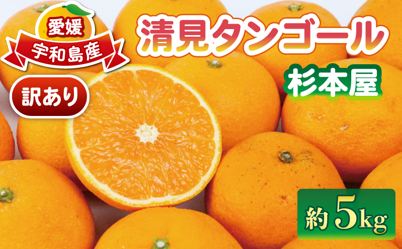 清見 訳あり 清見タンゴール 5kg 杉本屋 先行予約 わけあり タンゴール オレンジ きよみ 清見オレンジ 清見みかん 果物 くだもの フルーツ 柑橘 蜜柑 みかん mikan ミカン デザート 愛媛みかん  産地直送 農家直送 数量限定 国産 愛媛 宇和島 B010-143011