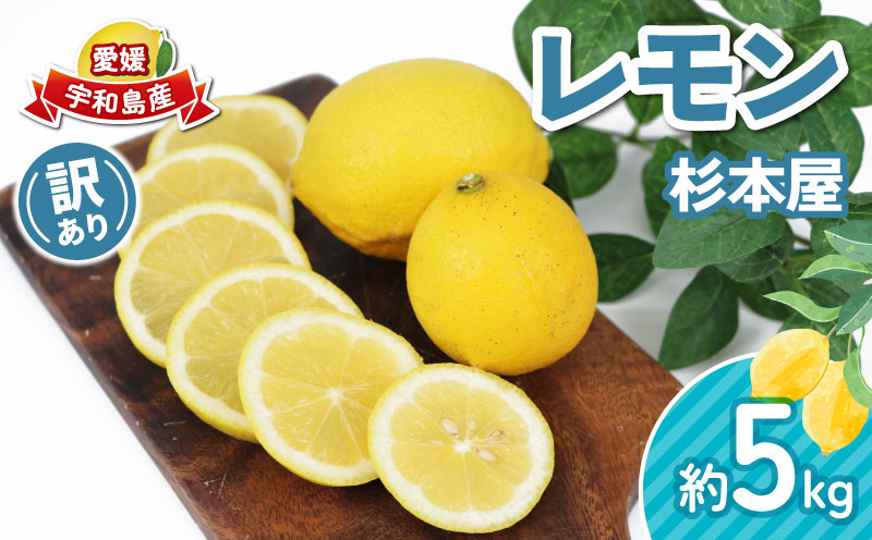 訳あり レモン 5kg  杉本屋 先行予約 わけあり れもん 檸檬 レモン果汁 酸味 高級 爽やか 果実 サワー ジュース チューハイ remon 青レモン れもん 檸檬 果物 くだもの ビタミン フルーツ 柑橘 農家直送 産地直送 数量限定 国産 愛媛 宇和島 B010-143012