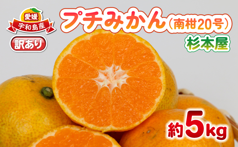 訳あり プチ みかん 南柑20号 5kg 杉本屋 わけあり 訳あり品 訳アリ 小玉みかん 小みかん 愛媛みかん 愛媛蜜柑 愛媛ミカン 温州 温州みかん 果物 くだもの フルーツ 柑橘 蜜柑 mikan 産地直送 数量限定 国産 愛媛 宇和島 B010-143014