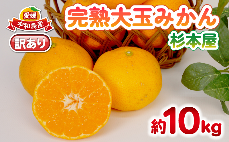 みかん 訳あり 完熟 大玉みかん 10kg 杉本屋 完熟みかん mikan わけあり 訳アリ 訳あり品 愛媛みかん 愛媛蜜柑 愛媛ミカン 温州 愛媛県産 温州みかん 果物 くだもの フルーツ 柑橘 みかん 蜜柑 産地直送 数量限定 国産 愛媛 宇和島 B010-143017