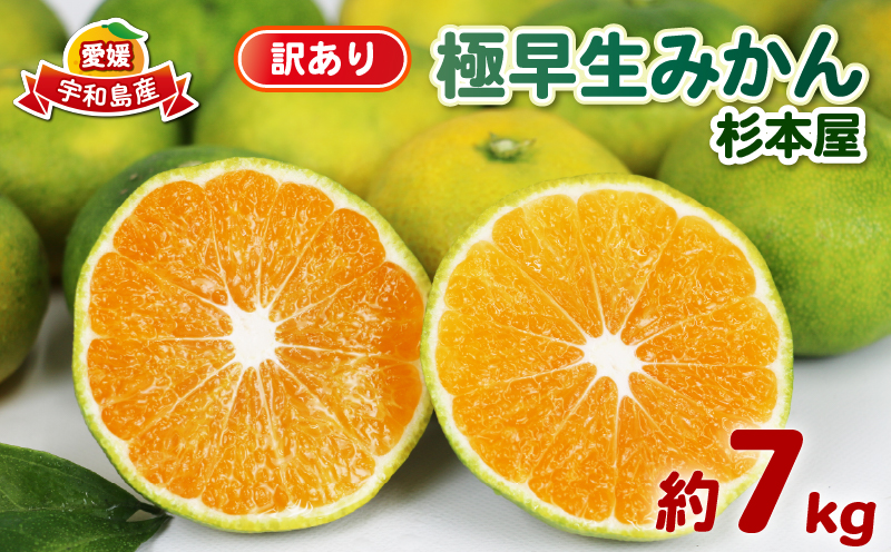 訳あり 極早生みかん 7kg 先行予約 杉本屋 温州みかん 訳アリ 訳あり品 わけあり 温州 極早生 青切みかん 早みかん 緑みかん 愛媛みかん 愛媛ミカン 愛媛蜜柑 愛媛県産みかん さっぱり 酸味 果物 くだもの フルーツ 柑橘 蜜柑 温州 産地直送 数量限定 国産 愛媛 宇和島 B010-143022
