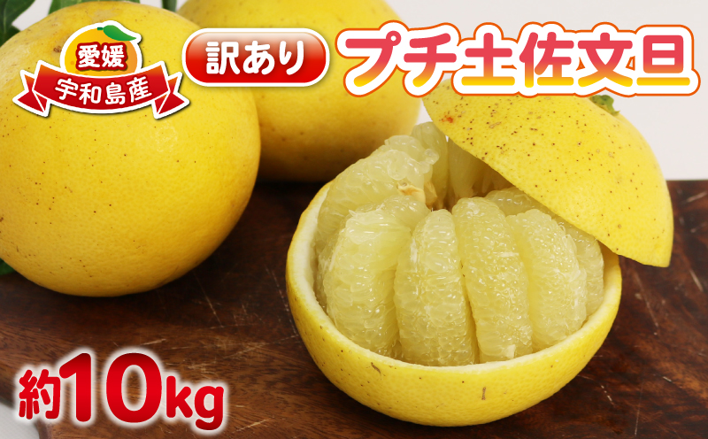文旦 訳あり プチ 土佐文旦 10kg 杉本屋 先行予約 わけあり 訳あり品 ぶんたん 果物 くだもの フルーツ 柑橘 蜜柑 みかん mikan ミカン 訳アリ 訳ありみかん ビタミン デザート 愛媛みかん 愛媛ミカン 産地直送 数量限定 国産 愛媛 宇和島 B010-143026