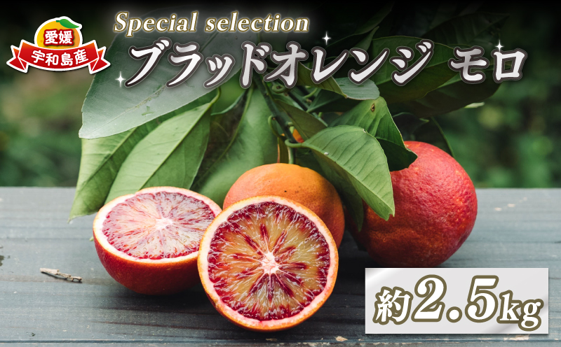 ブラッドオレンジ モロ Special selection 2.5kg コルレオファーム 果物フルーツ ブラッド オレンジ 柑橘 みかん 蜜柑 mikan 愛媛ミカン 愛媛蜜柑 愛媛みかん 農家直送 産地直送 数量限定 国産 愛媛 宇和島 B010-145004