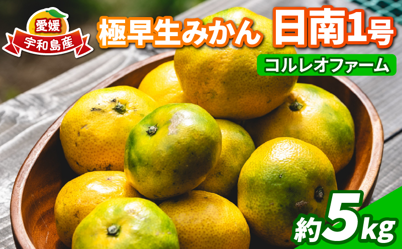 蜜柑 愛媛 極早生 みかん 日南1号 5kg S~L サイズ 混合 先行予約 コルレオファーム 極早生みかん mikan さっぱり 爽やか 甘味 酸味 果物 フルーツ 柑橘 農家直送 産地直送 数量限定 国産 宇和島 B010-145011