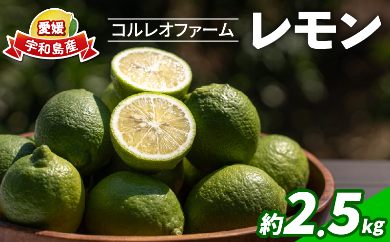 レモン 2.5kg コルレオファーム 国産 防腐剤 ・ ワックス 不使用 国産レモン 先行予約 青レモン れもん remon 檸檬 レモン果汁 酸味 果物 くだもの ビタミン サワー ジュース チューハイ 健康 フルーツ 柑橘 農家直送 産地直送 数量限定 愛媛 宇和島 B010-145013